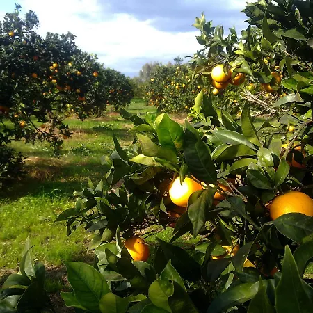 Su Canonigu Agriresort - Rooms & Glamping-3